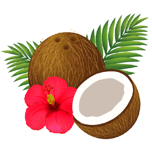 Coconut Paradise Lodge – native island lodge in San Andrés